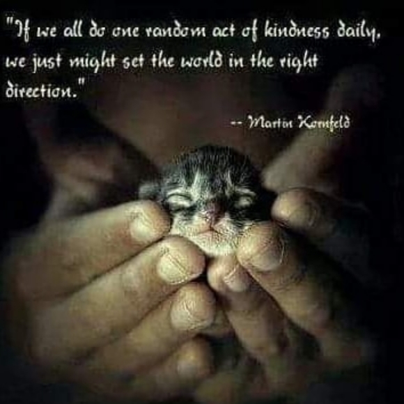 Meet your Posher, Michele - Picture 4 of 5